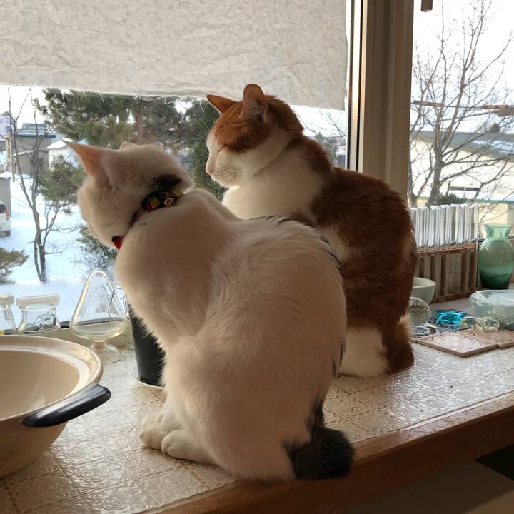 Ada6396d 3b14 4744 84b7 b4fdfc221aae 1520113237541