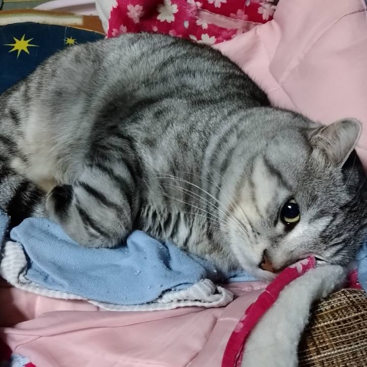 Ada645fe ab0b 4ecc 941a 1c36f30a8048 1668612327212