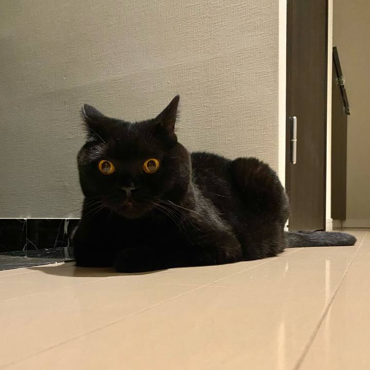 Ada65406 9c30 455e bb0b 92e051193541 1695559083165