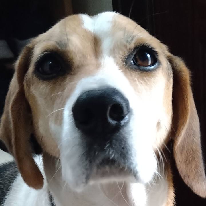 Ada68475 170c 4edf 8b23 16ceb7146f52 1667057343372