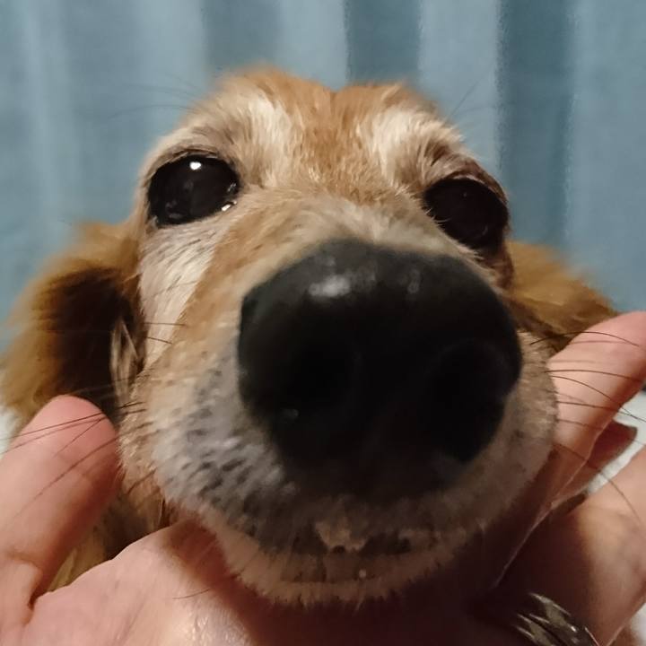 Ada6c40c fb52 4df1 b4a4 7ba801c9358e 1508232521938