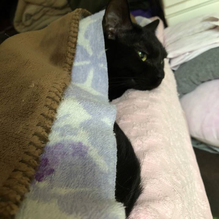 Ada6d7ed cf5d 4e38 b921 63ae557692a5 1528234496612