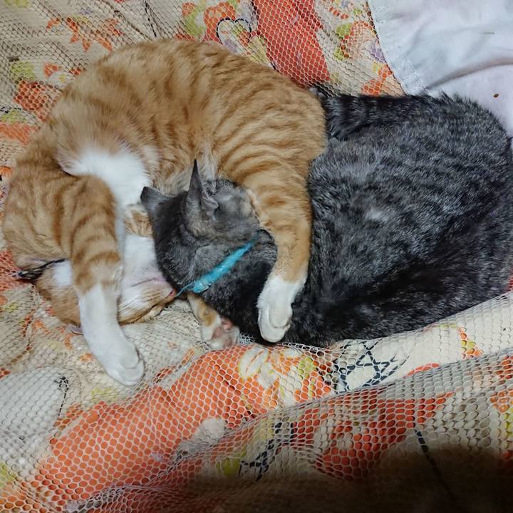 Ada6daf6 6477 4d43 8182 1b33edee19bb 1605178039101