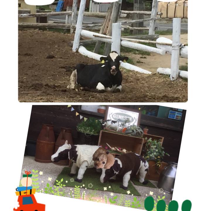 Ada6de87 8195 4fa3 9d85 b463e8f6370d 1526534693189