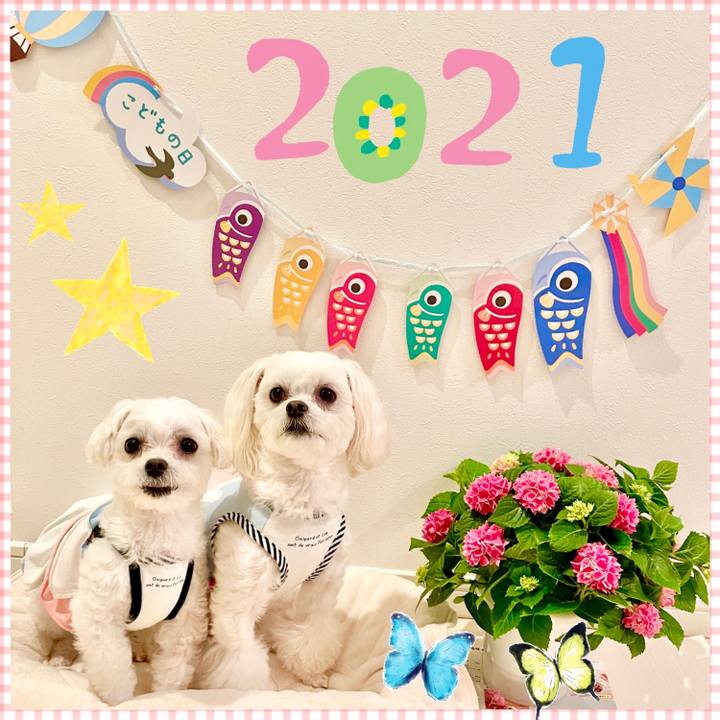 Ada6f26c 631a 4836 bc69 de1c2bee7d3f 1619870405805