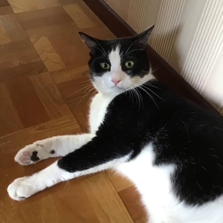 Ada6f865 a65b 4631 b6e0 1dd80eb273e7 1693913866526