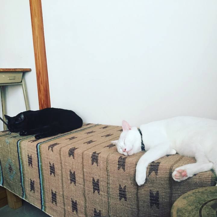 Ada71ab4 9a8a 43b2 a948 8f789ffa754f 1535526335266