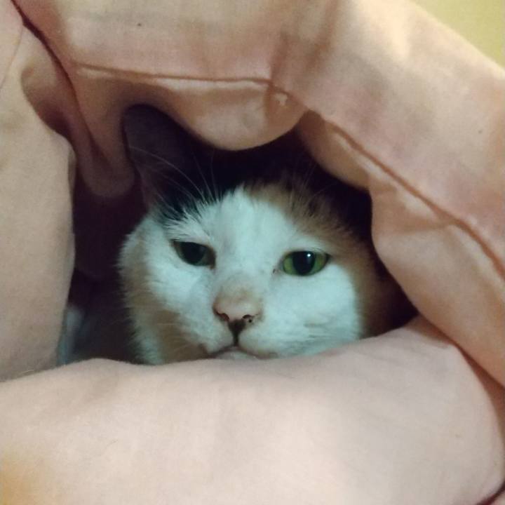 Ada71c5b b631 4ef0 81ad 9cc41a1b3973 1632804752349