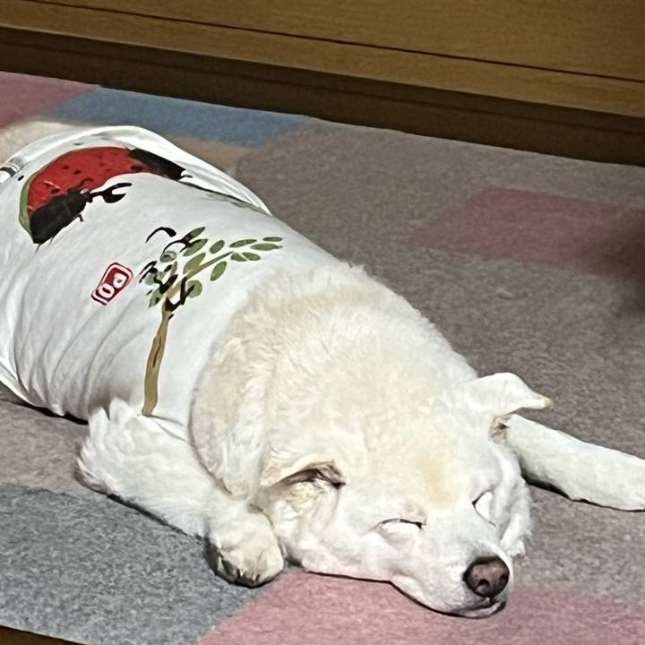 Ada73d69 4b93 4dac 96fc 995adcb35f6a 1759448234044