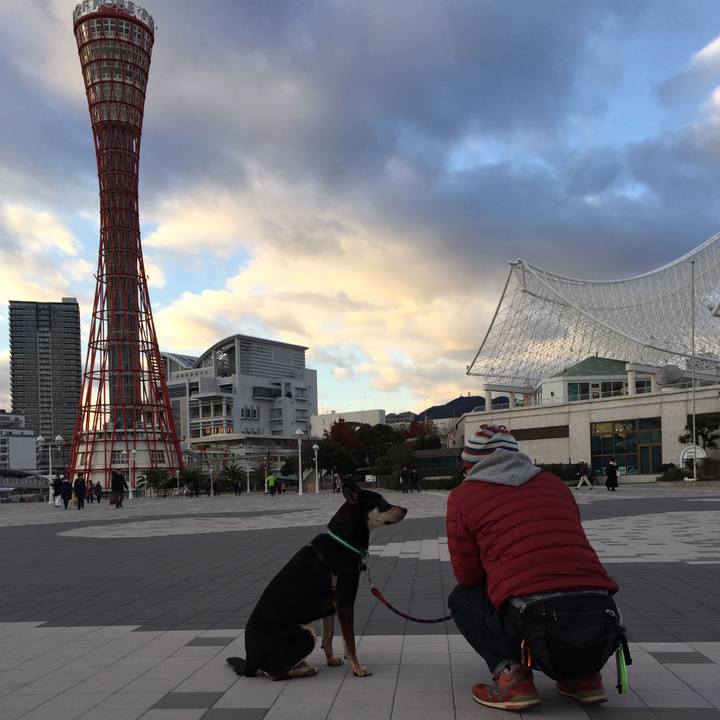 Ada79c75 09ae 4f3b 859c 7e4857fb5077 1513153835971