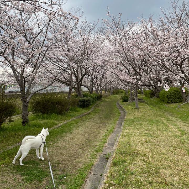 Ada7a549 8c97 417b 96df 60c922046a69 1616407467566