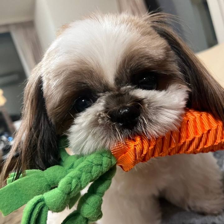 Ada7c3f2 d32b 45b2 b72e 7c39523d7012 1728877167290