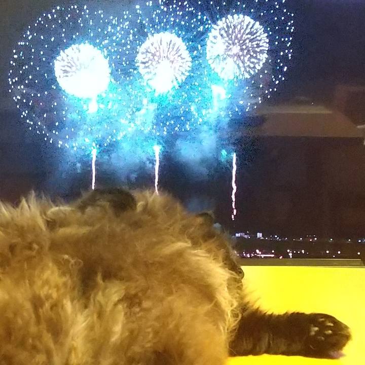 Ada814cd d070 4ab5 9f26 bb57fec45d56 1659440561535