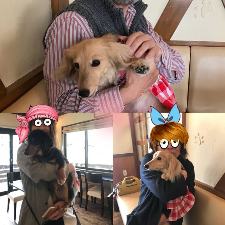 Ada81e0d 35a3 4de6 879c c230c28c814e 1525443308936