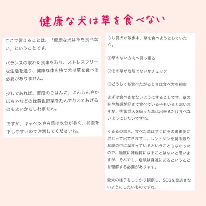 Ada83830 f75b 42d5 9f12 3ebaf64950f8 1523955338664