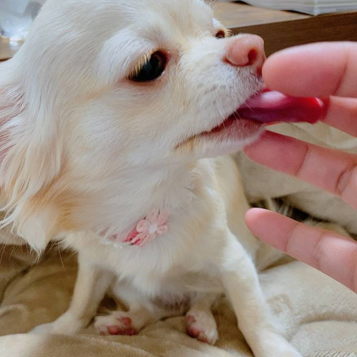 Ada8b5a6 cdc5 481c 9976 599d02b1c2e4 1614046658524