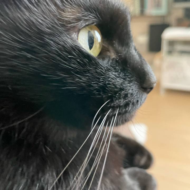 Ada8e1ce a459 47c7 ac36 803d18372abe 1647656478430