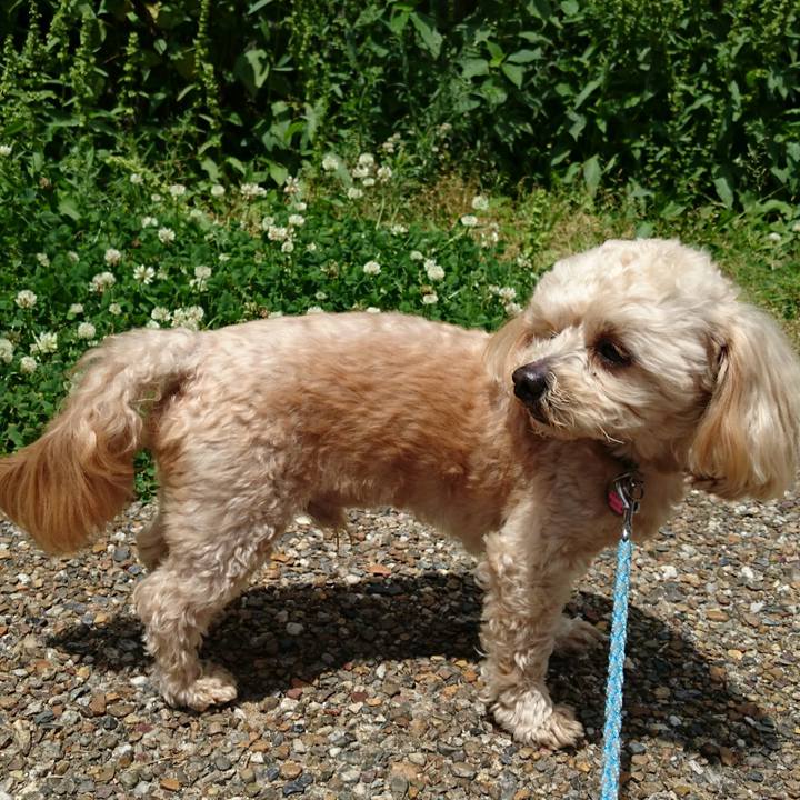 Ada8e863 49b4 4c57 a2de b4c6ee0c8ff8 1526786907870