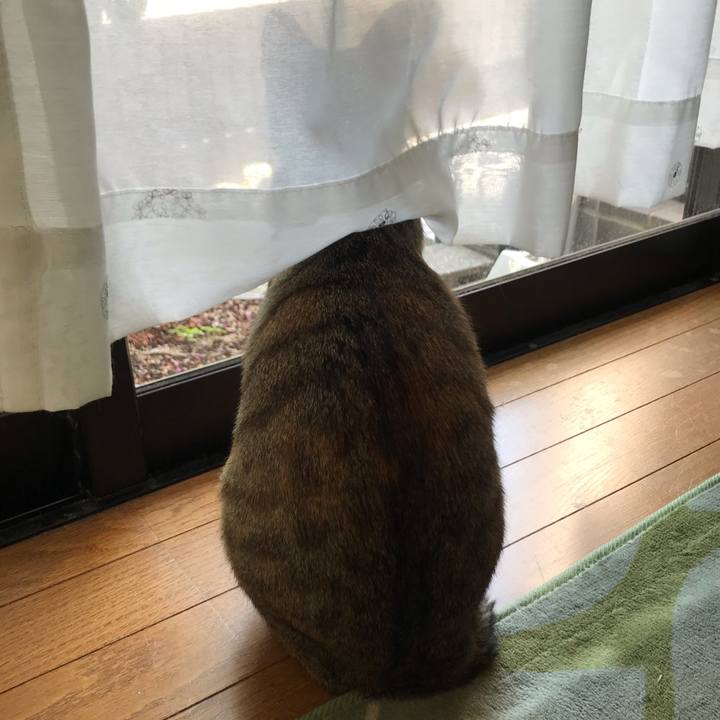 Ada90793 5d28 4e63 9b43 344ffe6a555b 1589419031295