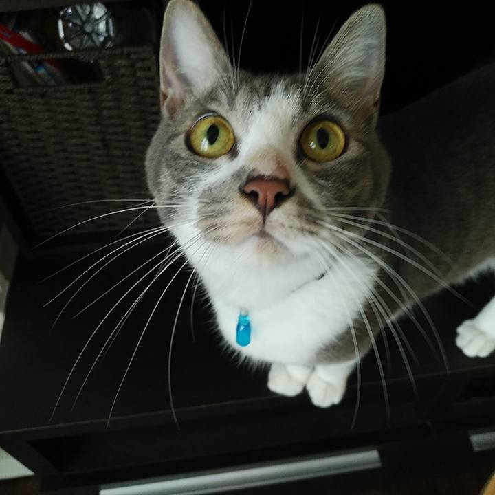 Ada91ec6 8933 4bd6 95d4 c69fdc69cec8 1595568233078