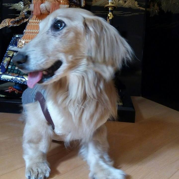 Ada96654 5228 43a2 ae24 21db861f9ef6 1588434572904