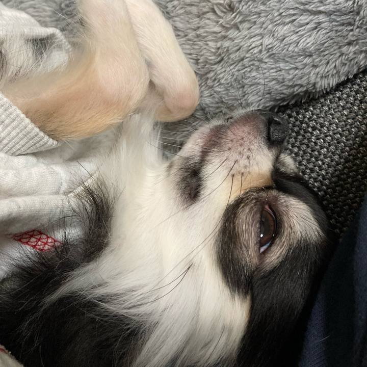 Ada96bbe 6b7d 4f51 b2cc 6ee2354df5f7 1639918097781