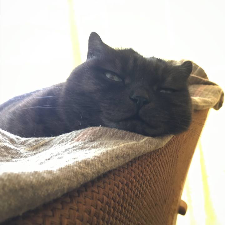 Ada9a3f9 ee9f 47d3 ad0b cd953ded57ee 1556936819895