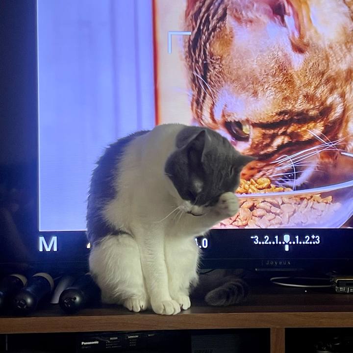 Ada9c1d6 bddf 4c59 a405 61aaec77c328 1652941749742