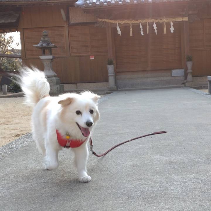 Ada9e70a d058 431d b02d 11db00caedef 1646559575065