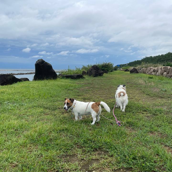 Ada9f44d 971b 4abf a891 019c951cc152 1726785903840