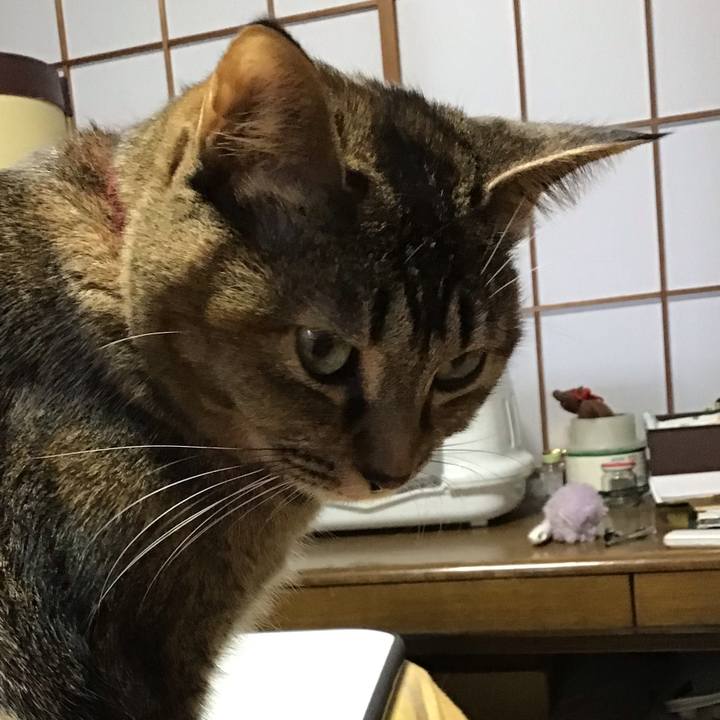 Adaa4d94 e606 4ab1 80e8 c570a933d1aa 1638482292124