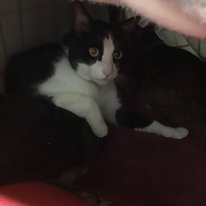 Adaa5ee2 1870 4706 b413 5c15dcdb9c76 1746861932496