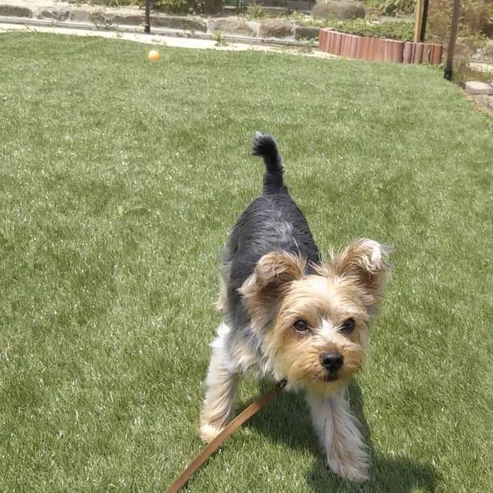 Adaa95b2 8e48 449c 8a1d 9c01289d39ae 1559796385943