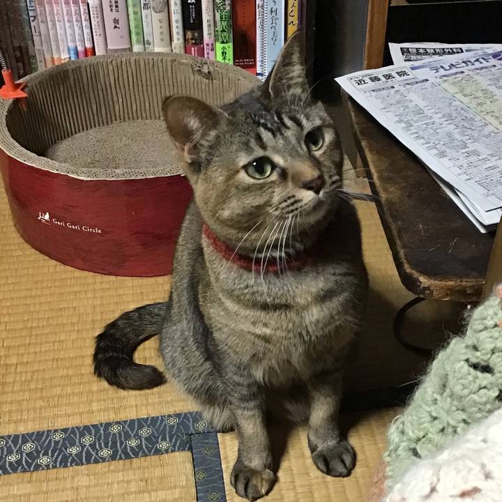 Adaad048 af7e 4a5d 90bc 3663a14c5134 1639992998803