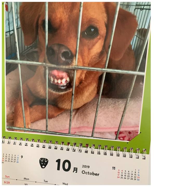 Adab380d 97e7 49c1 890a f289f2cd508d 1569891351738