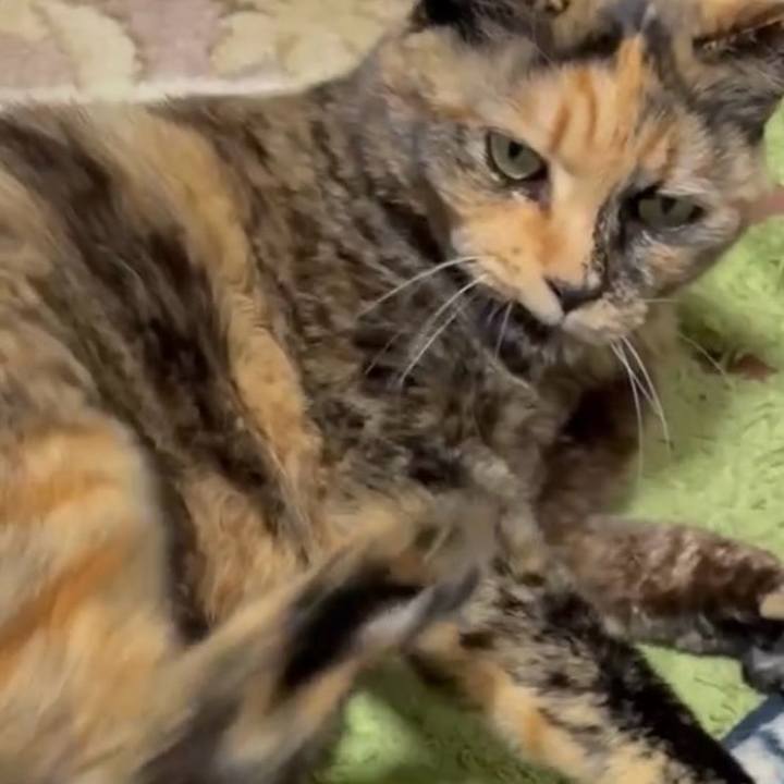 Adab6fb3 b631 4aff a8b7 545a82d274e2 1772138517071