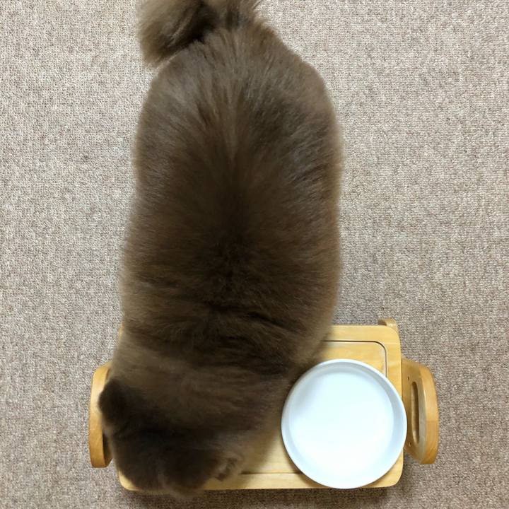 Adab8f4e 7b80 4911 b363 af94dcb9cfbe 1606349147910