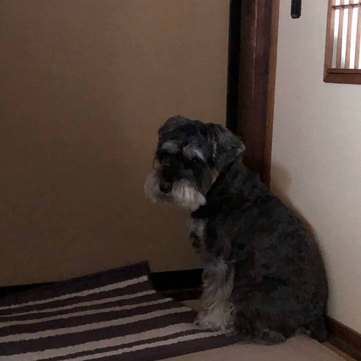 Adabbc32 1ee8 4f5b 90cc 06f3be72736e 1666226778331