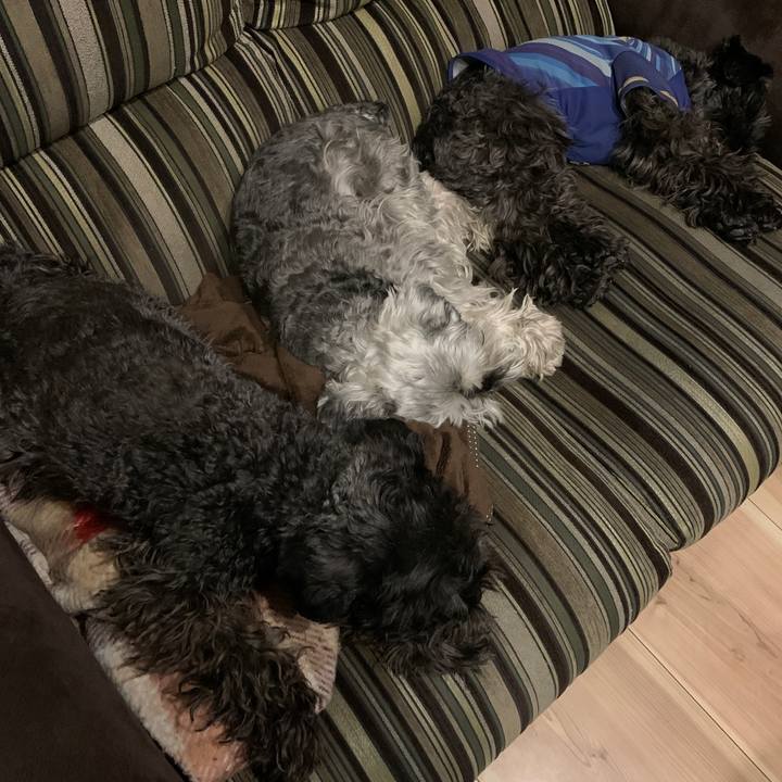 Adabeb34 5fad 4e48 8ff0 26fb1174a8cd 1611916120085