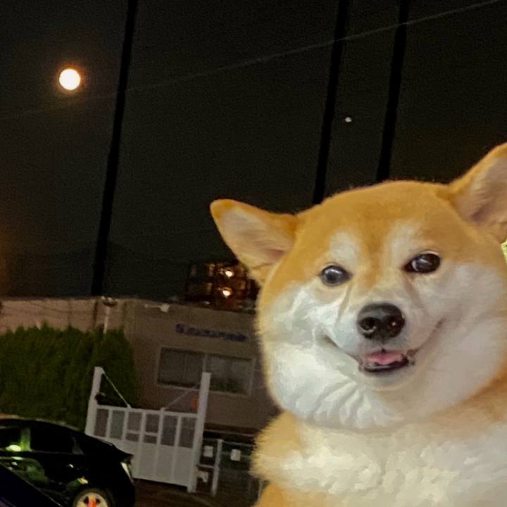 Adabf45b d979 41a9 a7cb b853e505bcb1 1596548174221