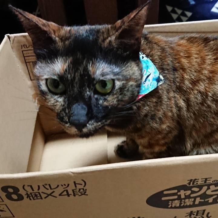 Adac73b2 3c53 43b8 80ce 6ea48c011d44 1583141969362