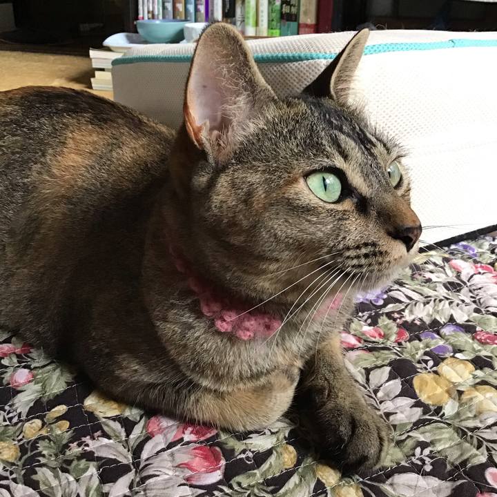 Adad0311 bfc1 4f4c 90fe e51c469a0d07 1595570230886