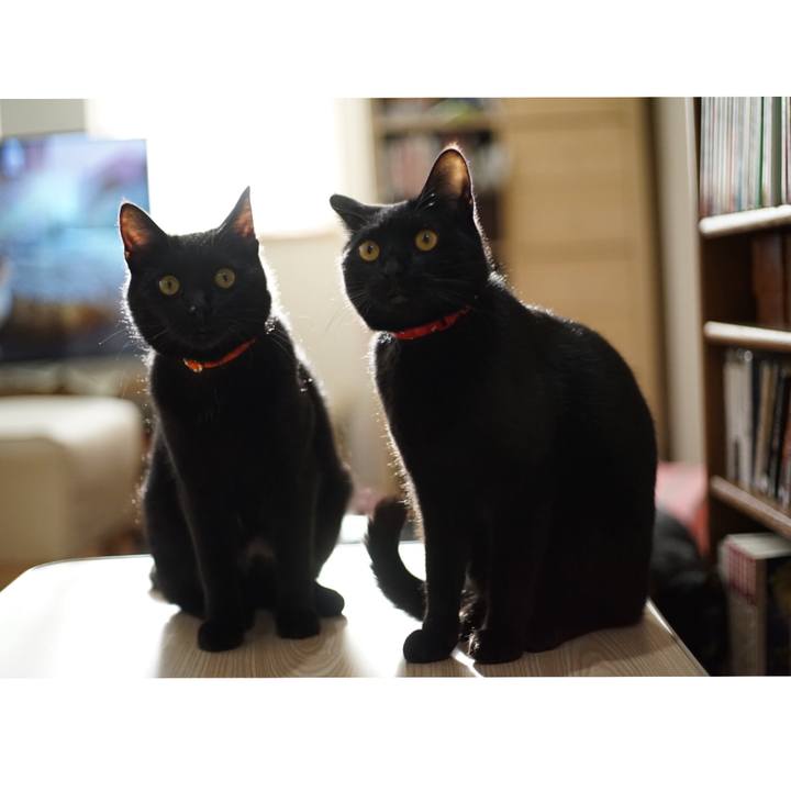 Adad3288 6c29 4921 8c8c abed8ab0daed 1519947443438