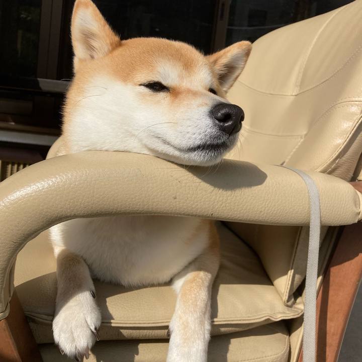 Adad39f8 ac22 4a1e 875c a0396953cb8e 1677128139212