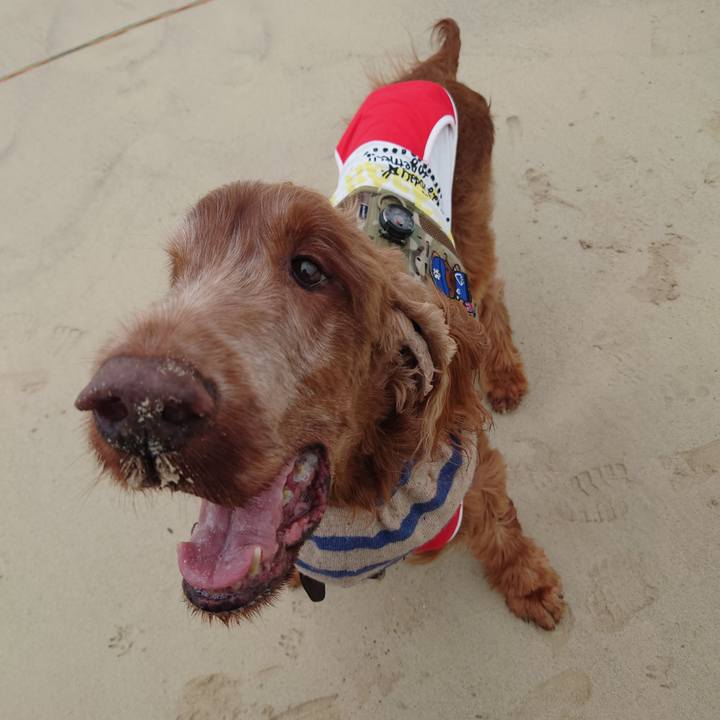 Adad4a0e 5e14 4af2 ab39 349d27fe5fb3 1677679349227