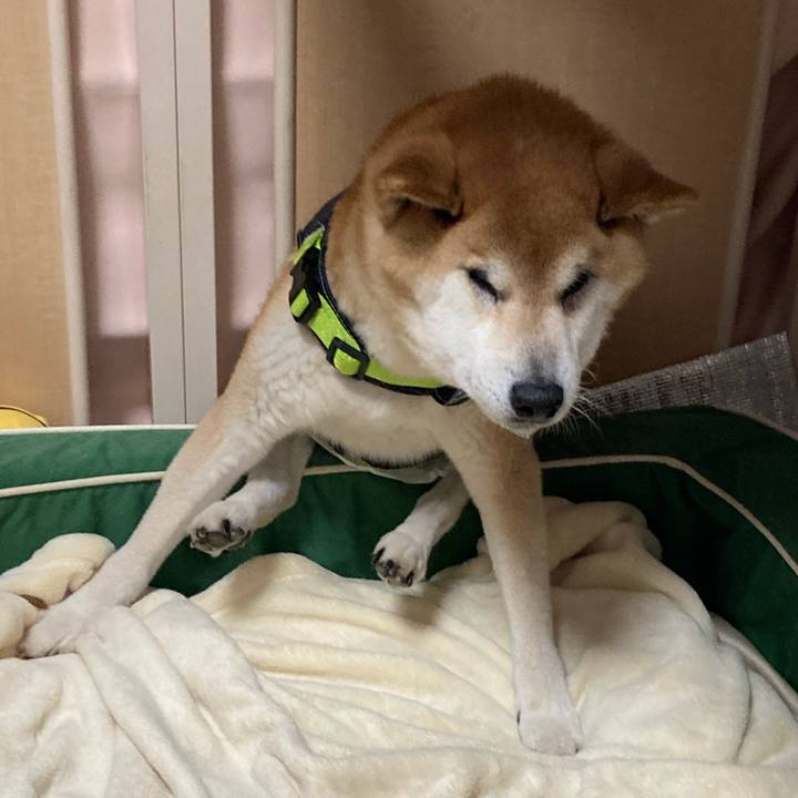 Adad536b 151d 453d 8a63 9cfeb827842e 1628667791162