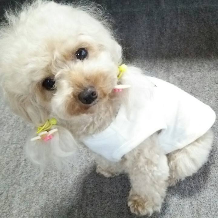 Adad7caa 6db2 4f89 ad72 9644bf66a52a 1536369905978