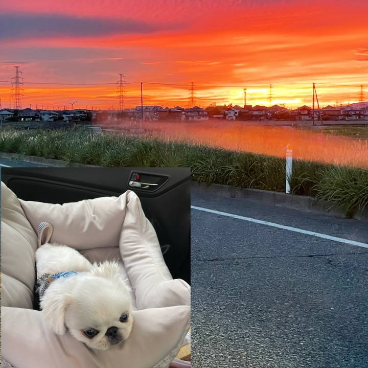 Adada7ec b9ae 4829 b4a7 5c0a4efd2f76 1655273903310