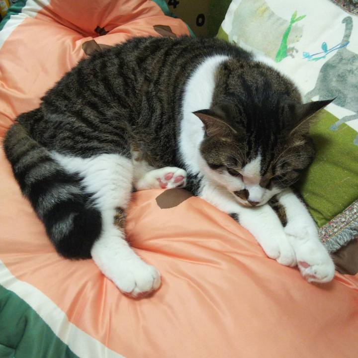 Adadb832 ac02 4fec bef8 dace39f2572a 1660537631388