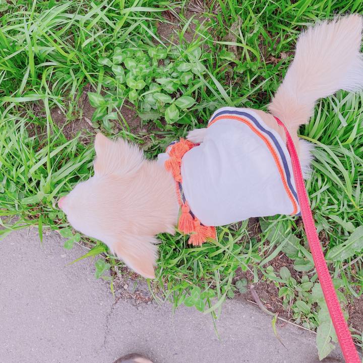 Adadd09f f42a 4e67 8aa0 2dd4e9726db1 1680852497136